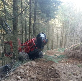 Engin dans la foret