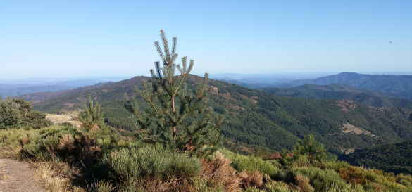 Paysage